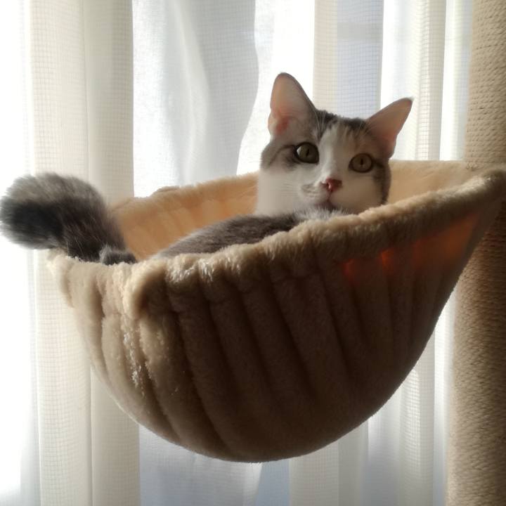 72244370 68aa 4bf0 a4dc fdd5ce805662 1543018062728