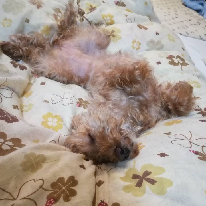 72249de9 b71d 4c62 8987 165f2a80486b 1545746227710