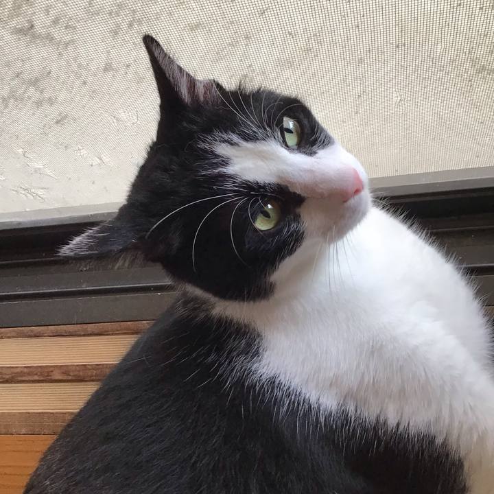 7224d036 6b79 4e82 8433 f05ca1797589 1692351812944