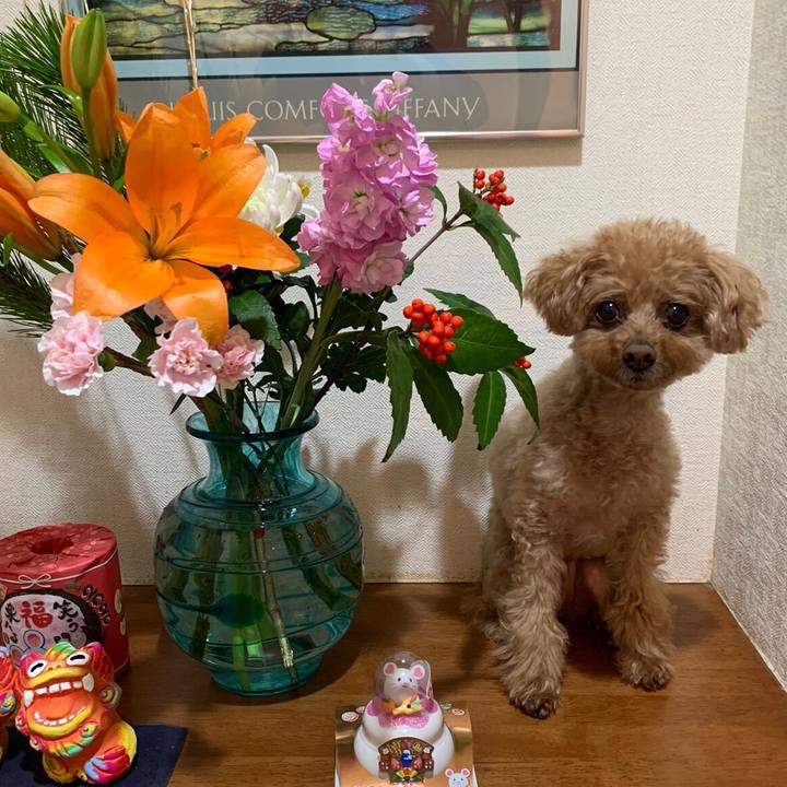 7224d6c4 af58 4b00 ada4 e14914e4fca5 1578028219020