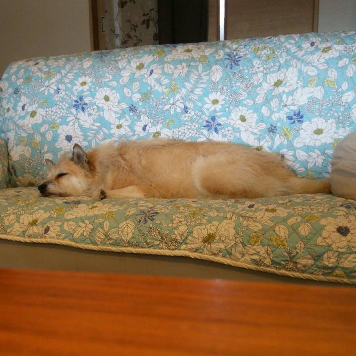 7224f5fa 56d4 4cab a271 94fe358aa11f 1533447355057