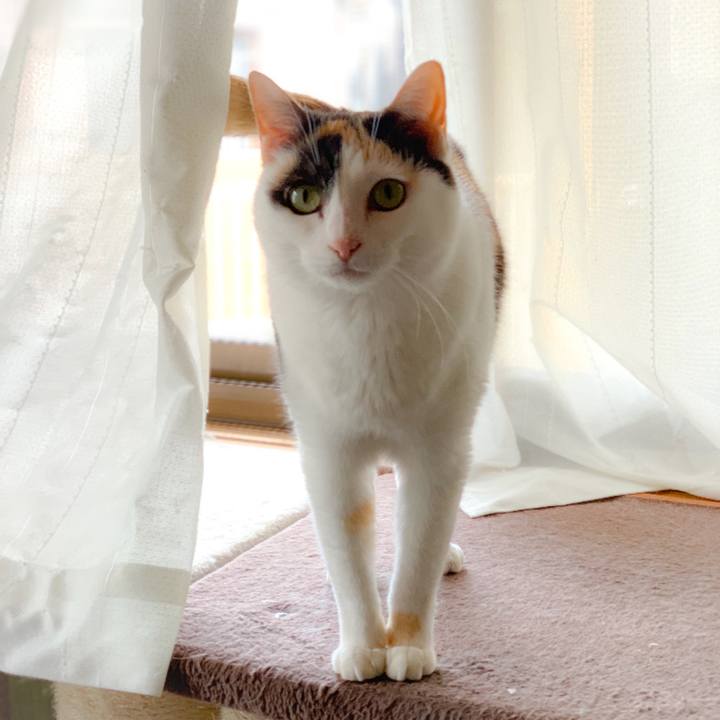 72251b2d 82ed 4eb0 b51e 3c9f2a3a3099 1557452521623