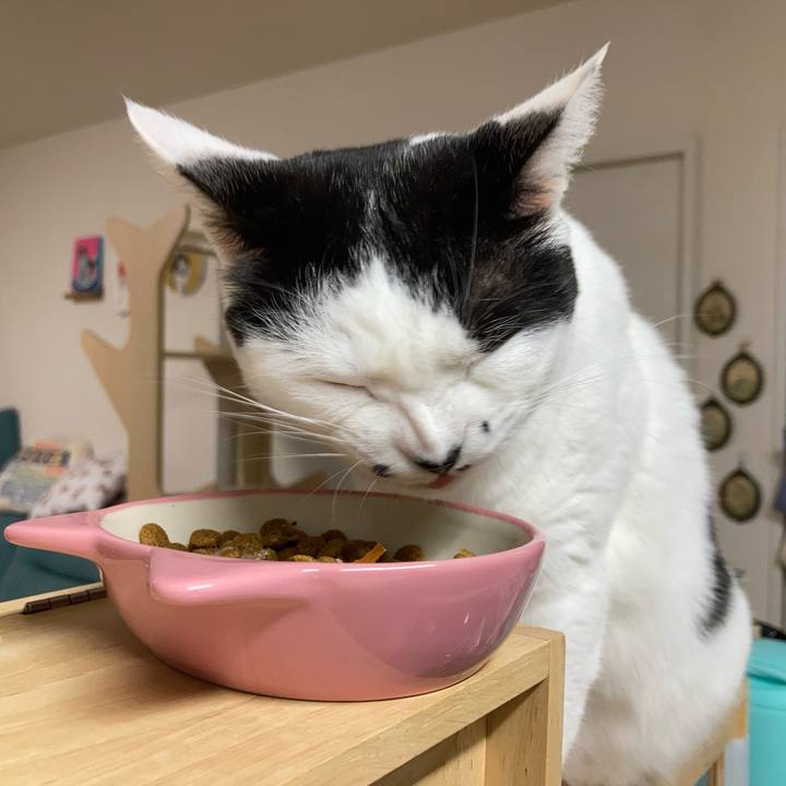 722521cf 5f0a 44c9 895a faf44a4fe166 1764362983479