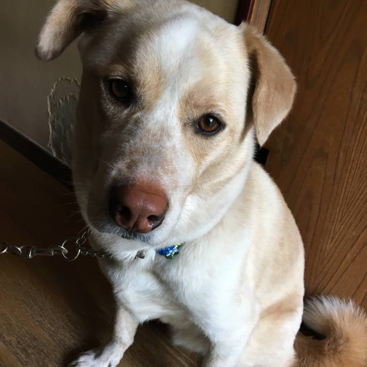 72255a3d f15e 4dd6 9a73 5007f719af10 1523574587960