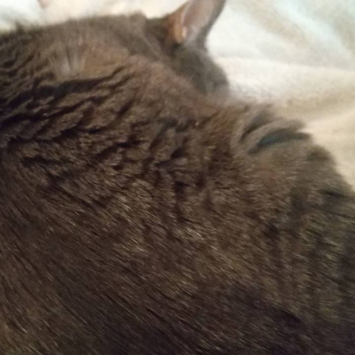 72255ba7 3243 43a2 ad06 a57a3acb4f70 1612651200592