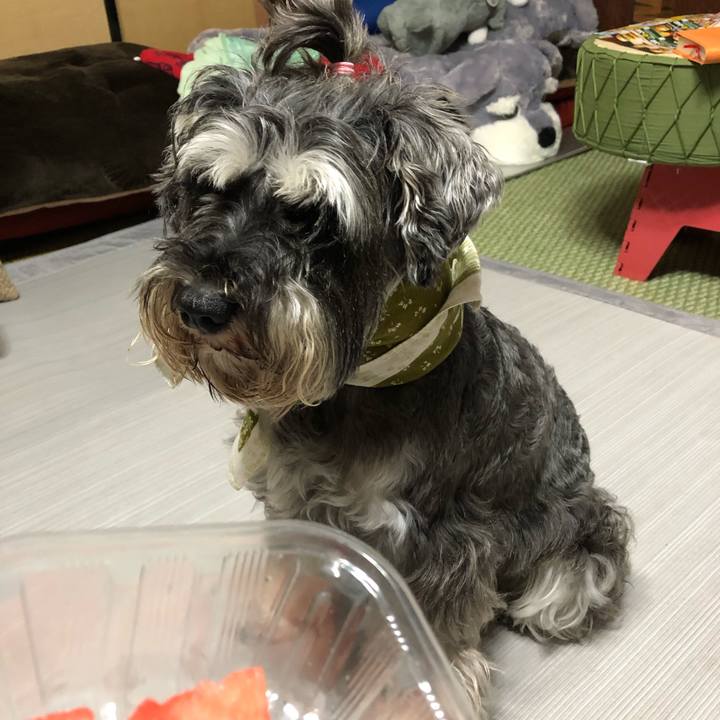 72256d25 641d 4a24 affc 9f25cc291eee 1564918876899