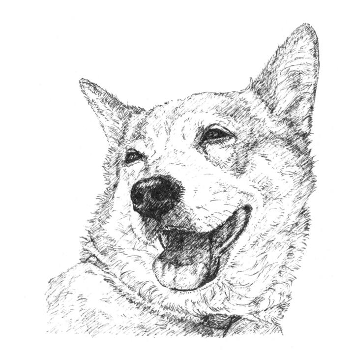 72257227 517e 46cc 843f b45cb8ee9cc9 1647272343804