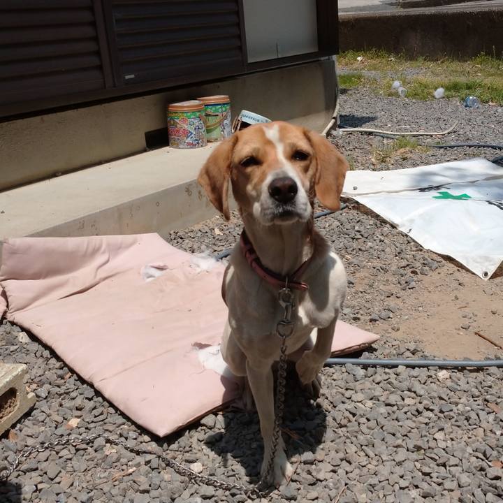 722572c5 110d 46a7 9341 6fced0e8c73c 1588514671903