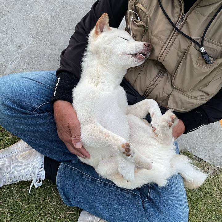 72258c9e f5ed 4355 bd33 4d3d920a5db1 1667261338297