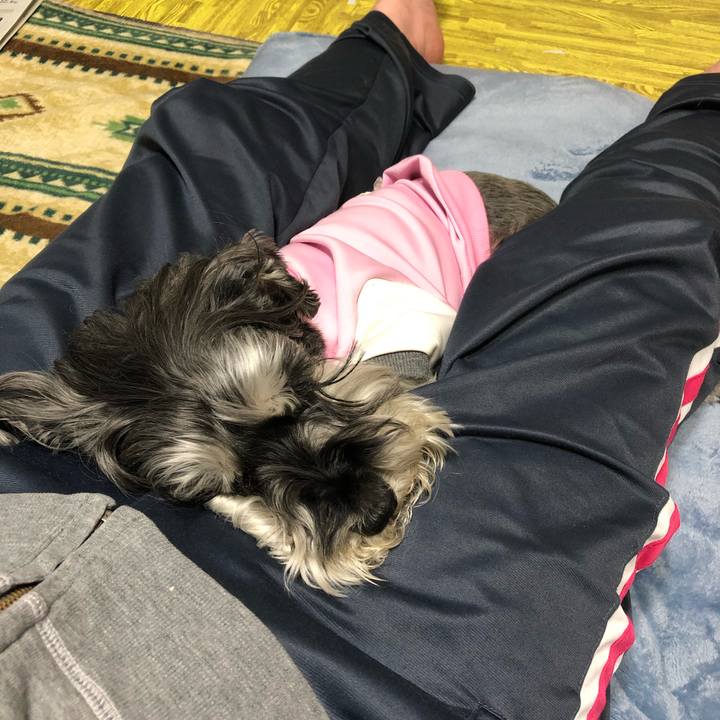 7225c281 554e 4f67 ad5f 81fb5a8cf6d4 1681300810662