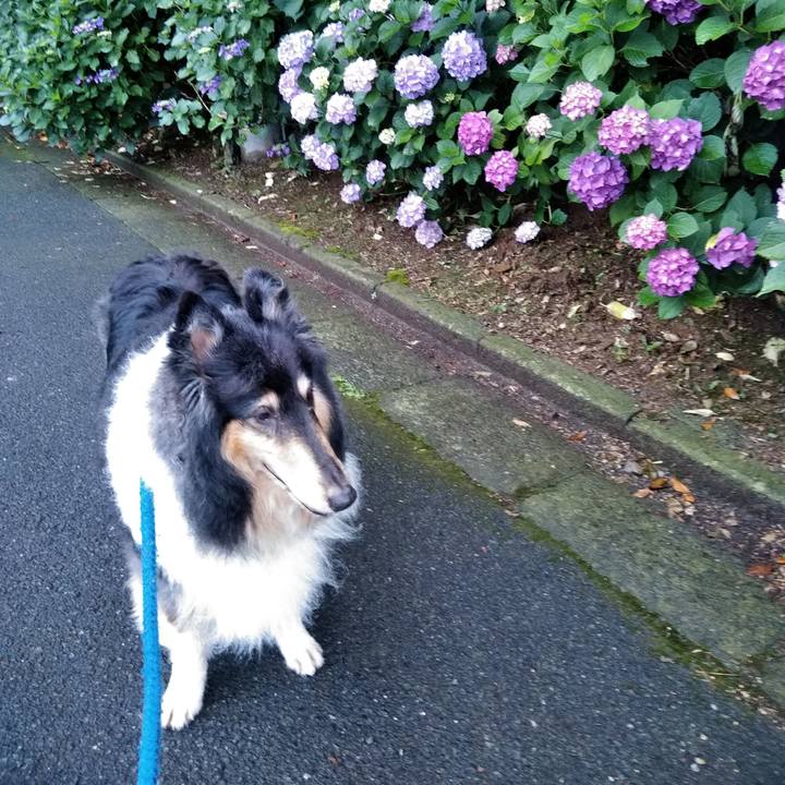 7225fbe8 d633 41eb 9818 3e5b4d632f3d 1531061280213