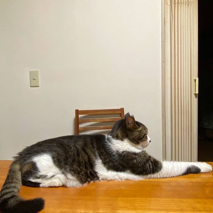 722611f6 7ea6 4f2e a408 f30c1ff28e3e 1725259162110