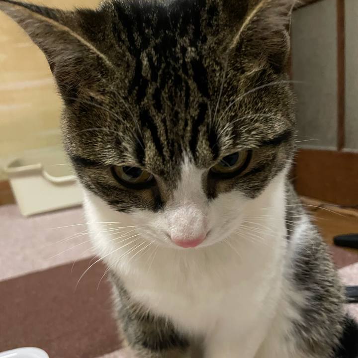 72261476 04ed 48b0 845c 2db11c425561 1734260509429