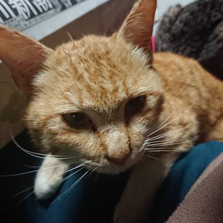 72261b43 8a4b 49ed 84d7 832ab45e1356 1554324630423