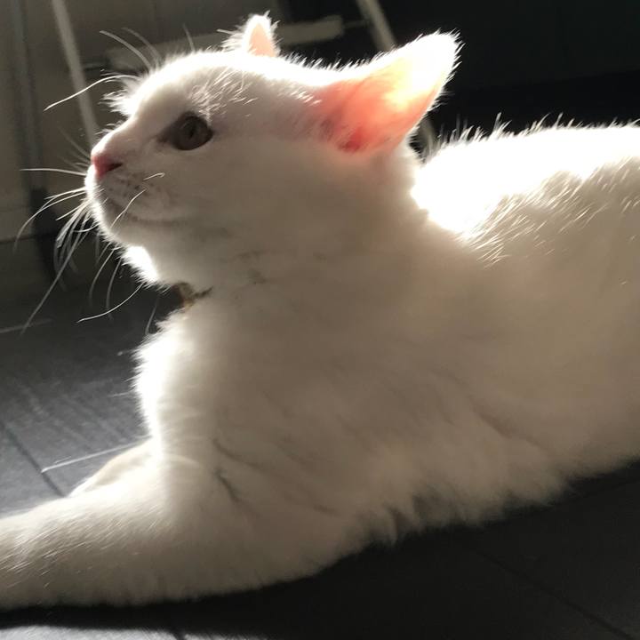 72261f1b 34d2 4af9 8fe3 7e5592b128ab 1510550268476