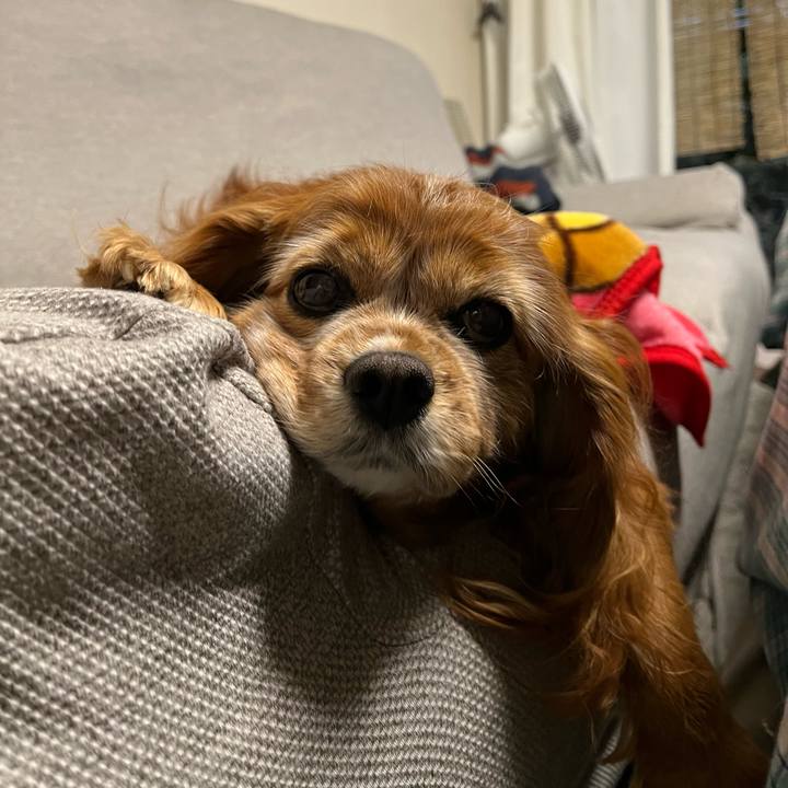 722625a1 02ac 4160 a0aa 1aeb7d284159 1769511068004