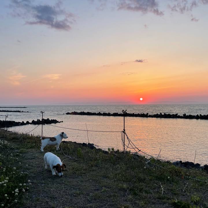 72267c72 4e9e 4aa3 be50 c6e4981b7873 1683714799263