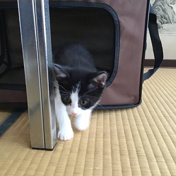 72273b88 8fc8 4ed3 b432 9cc3f479691d 1623753753529