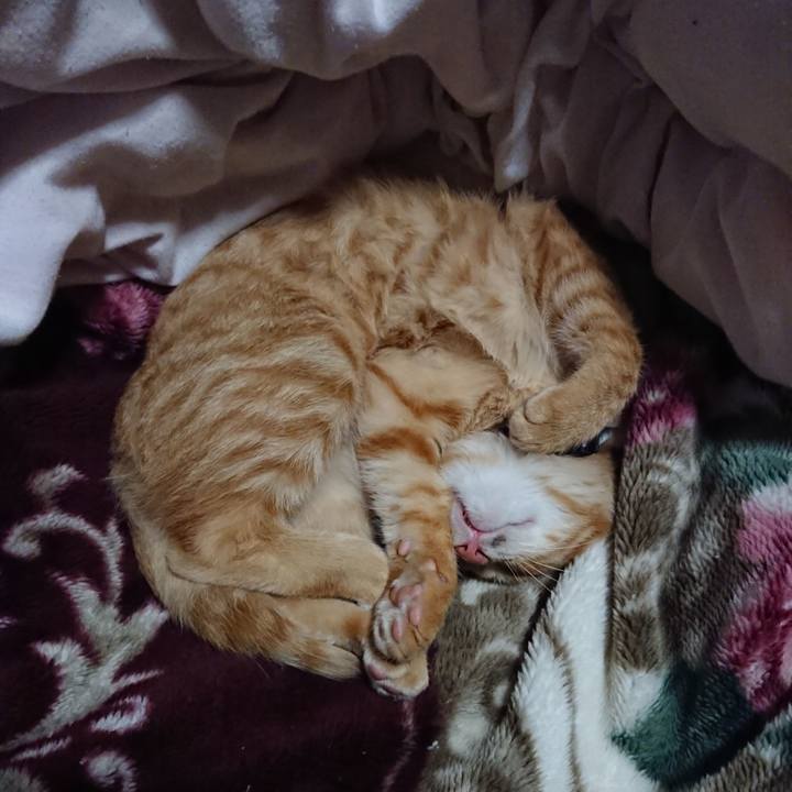 72279f1c 142b 4e74 8e97 e0ffe588409d 1634562698411