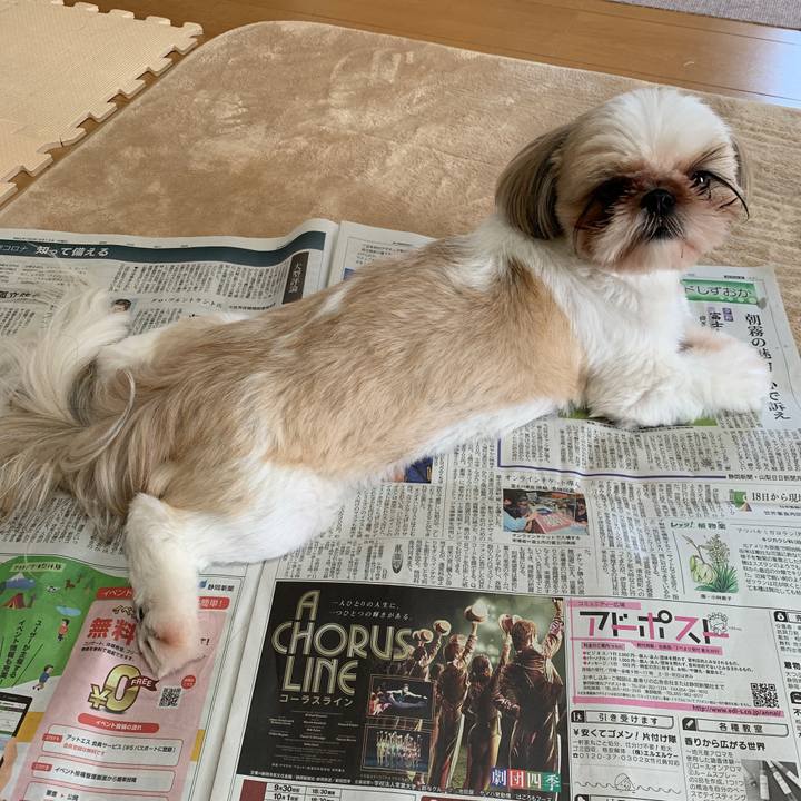 7227de15 0159 4008 a8ff 32b9fdb476d6 1597274706188