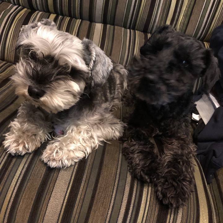 7228209a d4db 4a49 b19c e2e134e69f9b 1551959220277