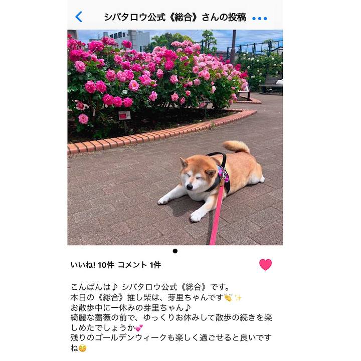 72282c8c e1bb 4755 aa87 7997669a3cf1 1682947339204