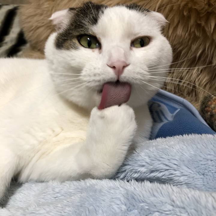 7228302c e430 466c bfac ea4b489dbca5 1553260238469