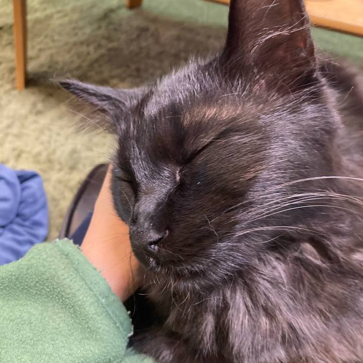 72283f00 2028 4c23 8bd0 6dc85b94d2cb 1764063153843