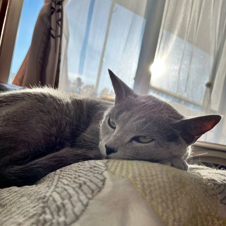 7228505a 6c55 4018 9a59 b29fd30f7249 1675584188843