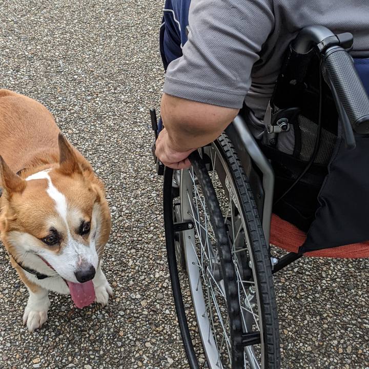 722859dc b34e 4ada 8fdf c4d60e94a332 1690890433943