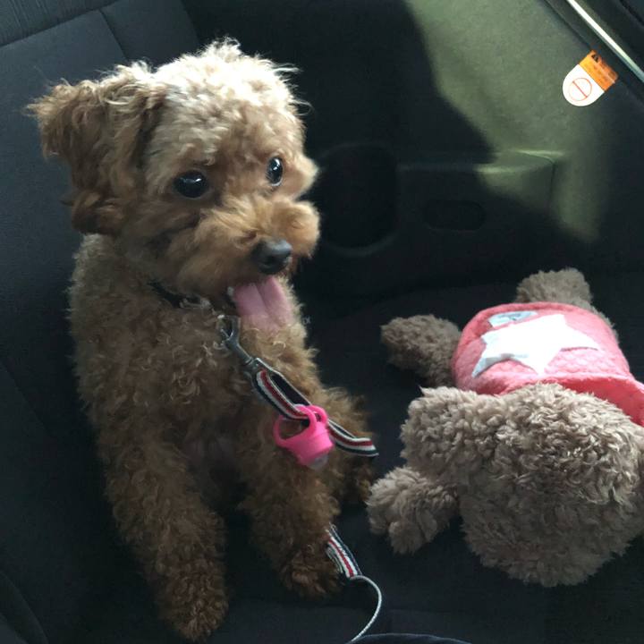 72286815 cd2e 402c b9f8 c5111e1640c0 1540022671743