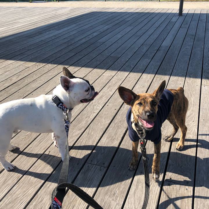 722869b9 eecc 478d 8759 a73fafbd42b9 1571196087663