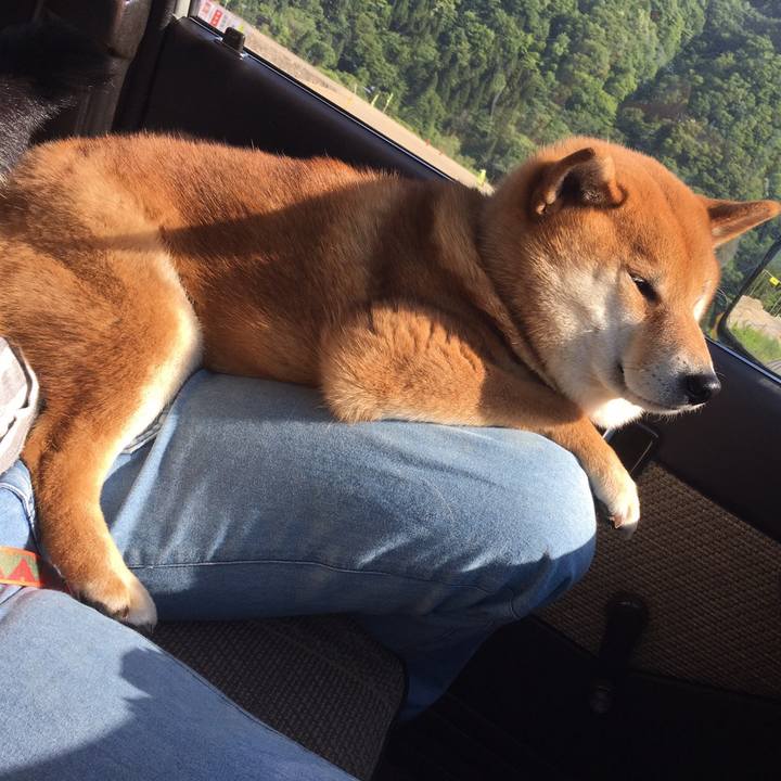 7228ca08 0b13 48ee 994e 71d9cce0f575 1557788592222