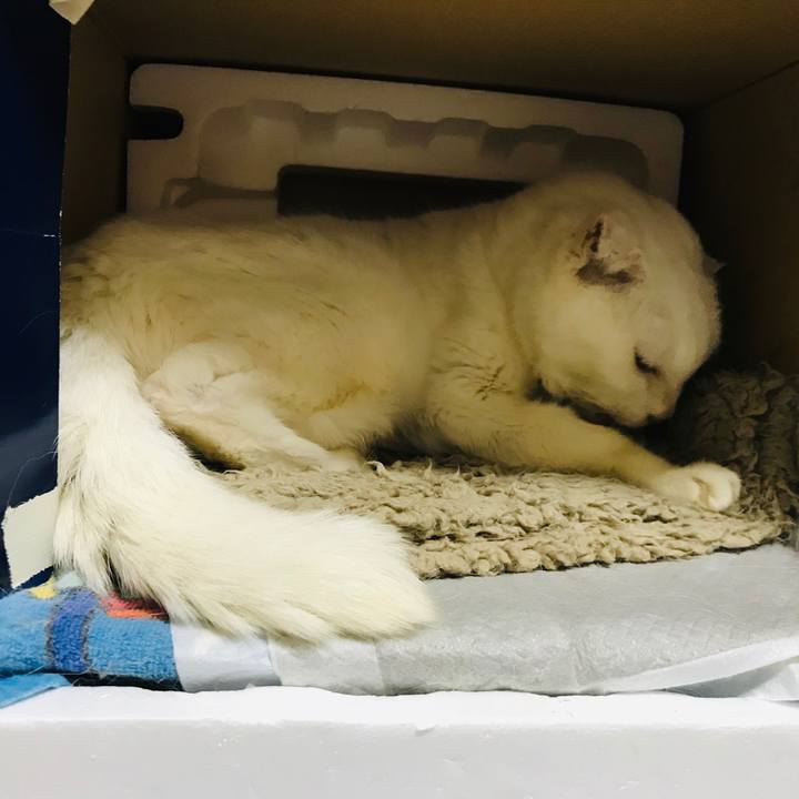 7228f27a 76ad 4534 b6c5 d986ce738b2c 1575110546711