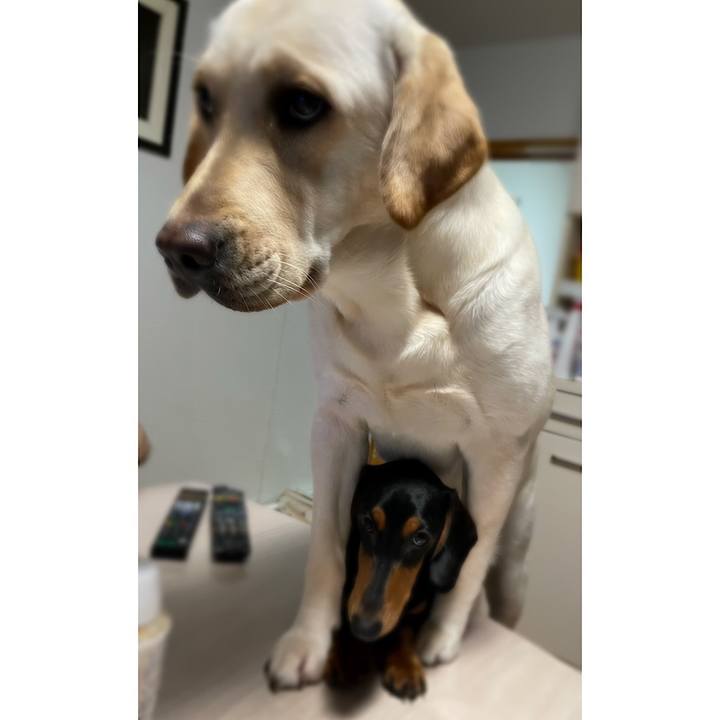 722934af bad4 4b99 9684 ad29496ee787 1653049554610