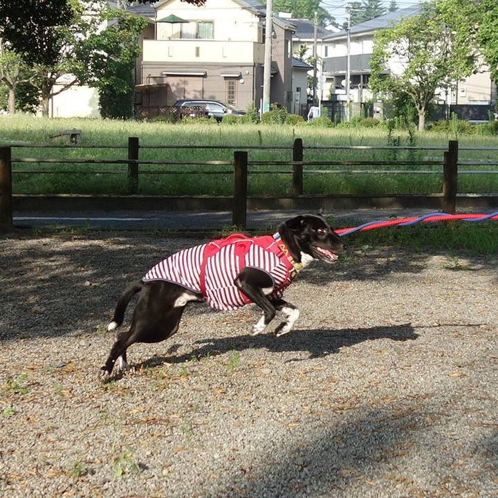 72293c69 22c2 499f a94d 5036132a8b2c 1596758078644