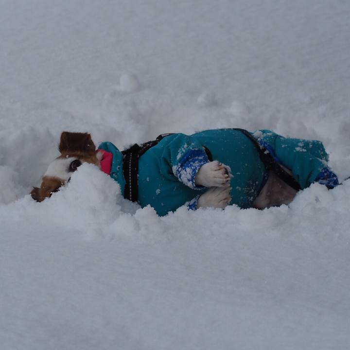 722983e3 3e6e 406c 9c3f dbf41b3f13ed 1515214674942