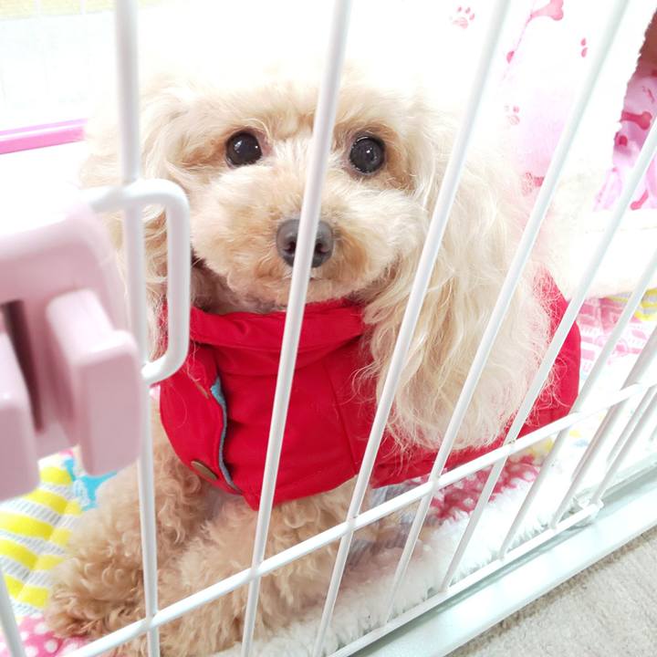 7229b044 51c0 46a0 9c08 0470c2efddbc 1576842728312