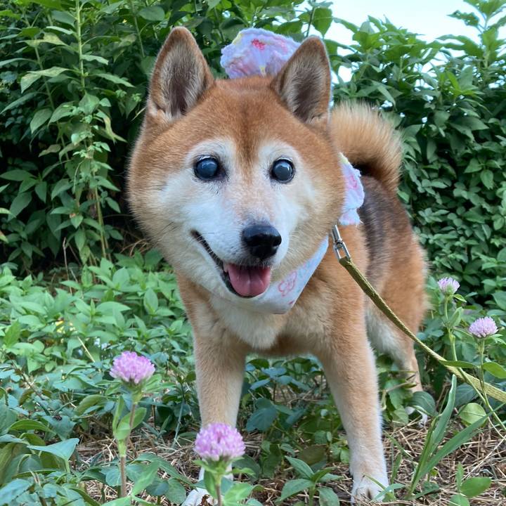 7229d670 438d 4ab7 abff 1dd7fedb056c 1690707916315