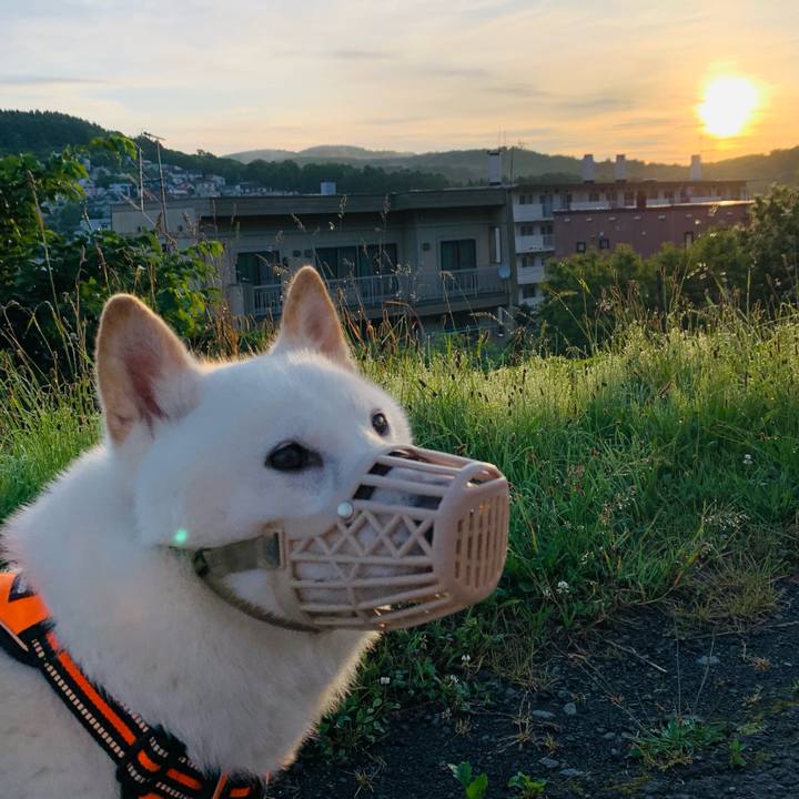 722a3365 98ae 48da 9e2b 95d600f46fb9 1626037421749