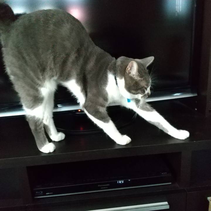 722a97f8 bff7 45e3 b029 5cdea861abb2 1596201803590