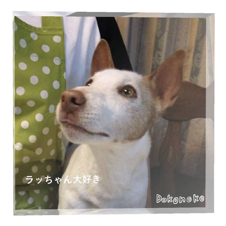 722aaa85 a29f 4180 b76c c18fd7d35501 1750119112019