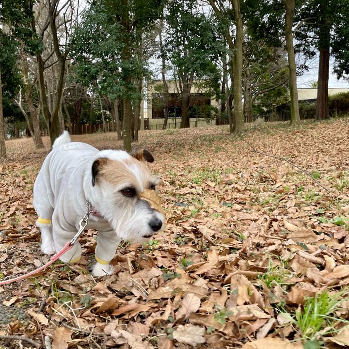 722ad6ca e0da 49d9 8a72 49158603e15d 1674110293863