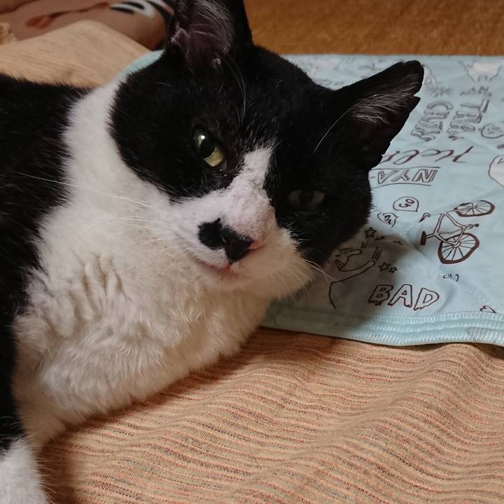 722ae5ab c31d 4f66 bb4d d4524b5a7c9e 1593598502304