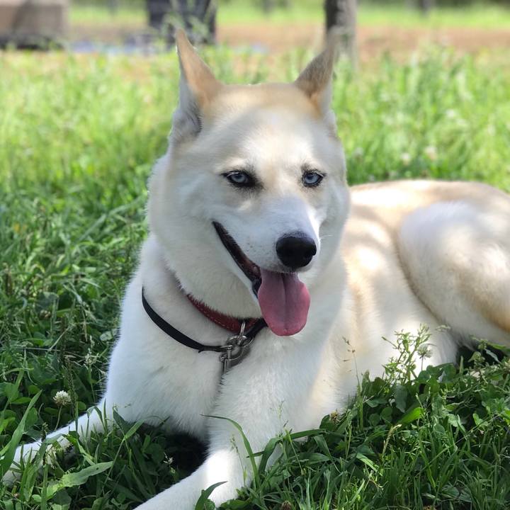 722ae8f4 2705 473a b053 57244c5257a2 1528420234085