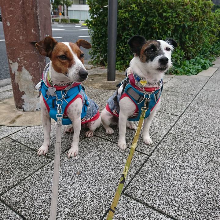 722af0d5 ef1e 4853 898b 41e01c218d49 1572046240391