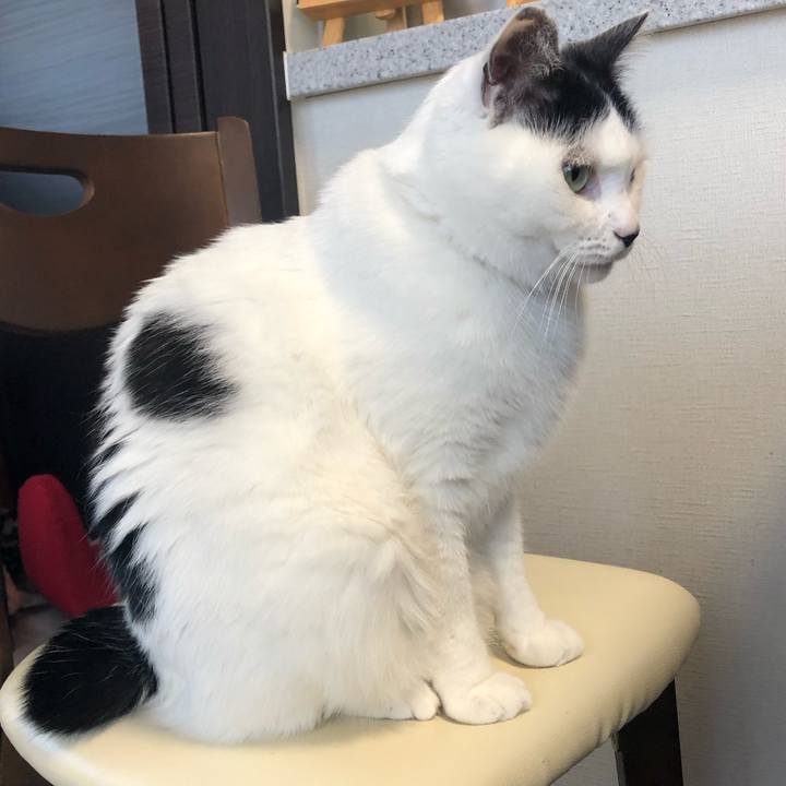 722b02da 061a 4945 926e 5733d5a833f3 1575502613238