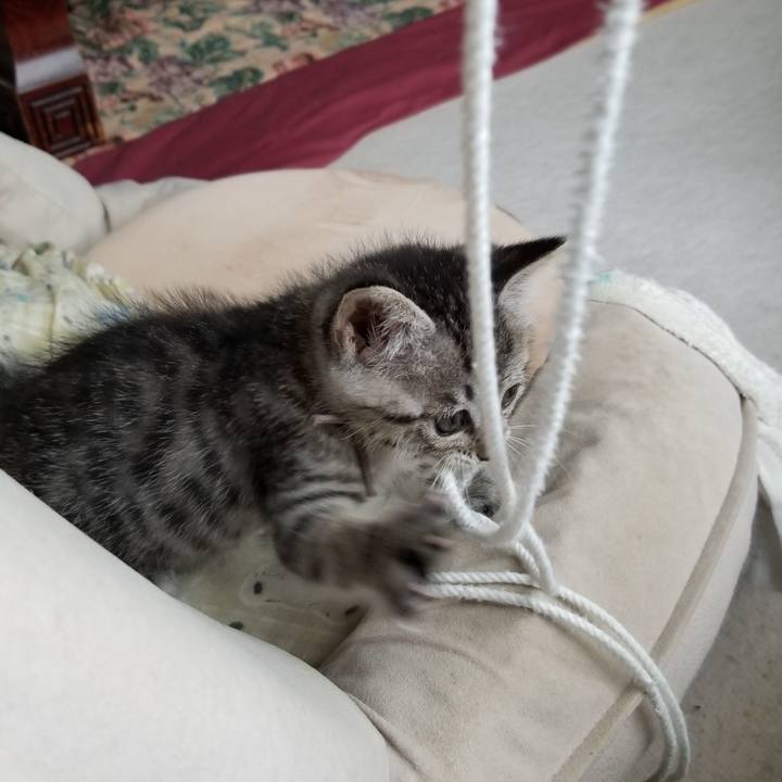 722b1f9c da5d 441e 9e5f b91a9ea36bb9 1661786171087