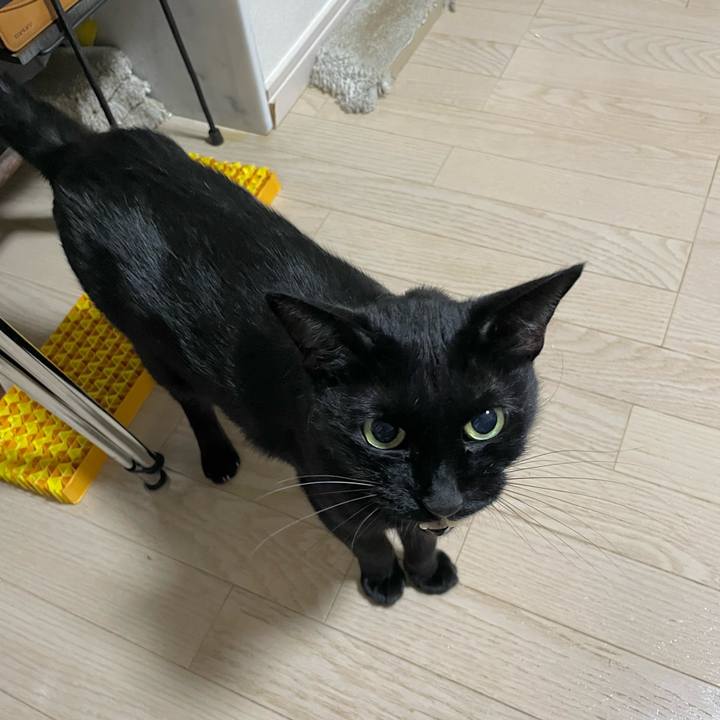 722b358e 9a36 4caa 823a beec81212474 1726578378089