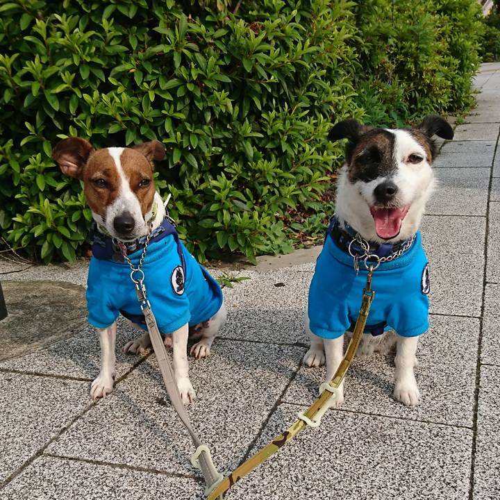 722b81c1 a8b0 4ca1 bc2e b3a704b8e9ce 1591395742620